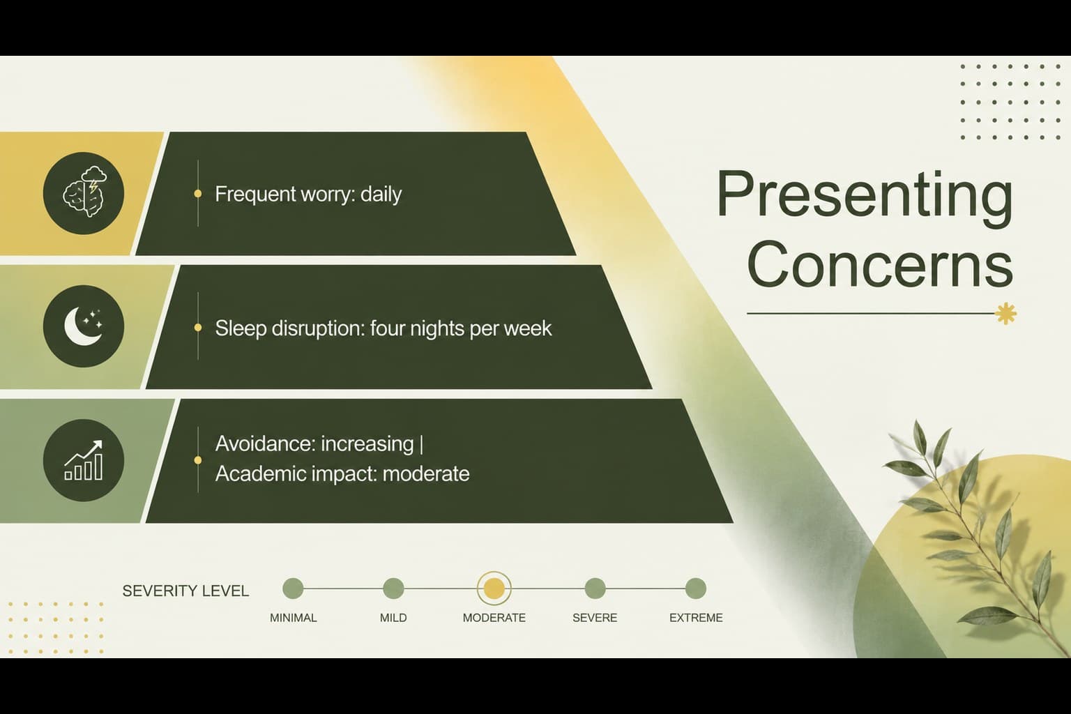 Mental health case analysis presentation slide organizing presenting concerns by frequency and impact.