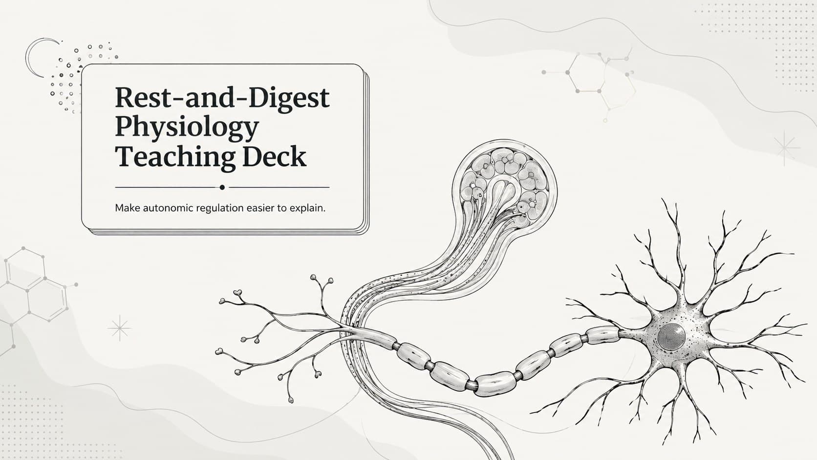 Cover of the Rest-and-Digest Physiology Teaching Deck with a modern grey autonomic nervous system illustration.