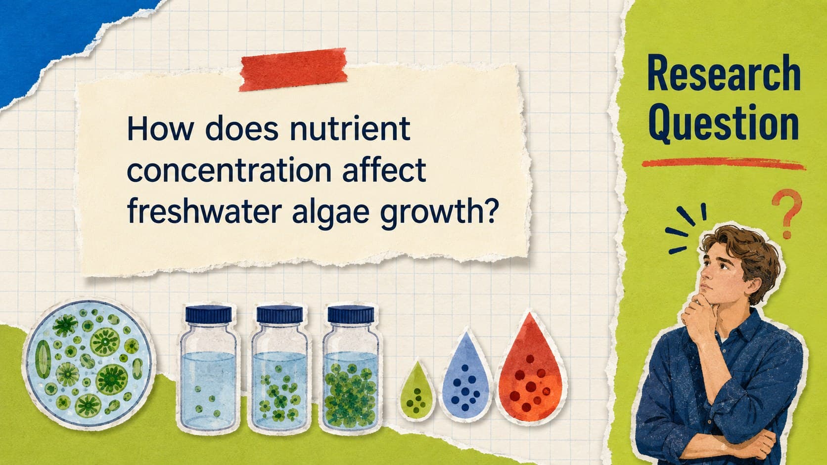 Research question slide from a science defense presentation with colorful experiment and algae illustrations.