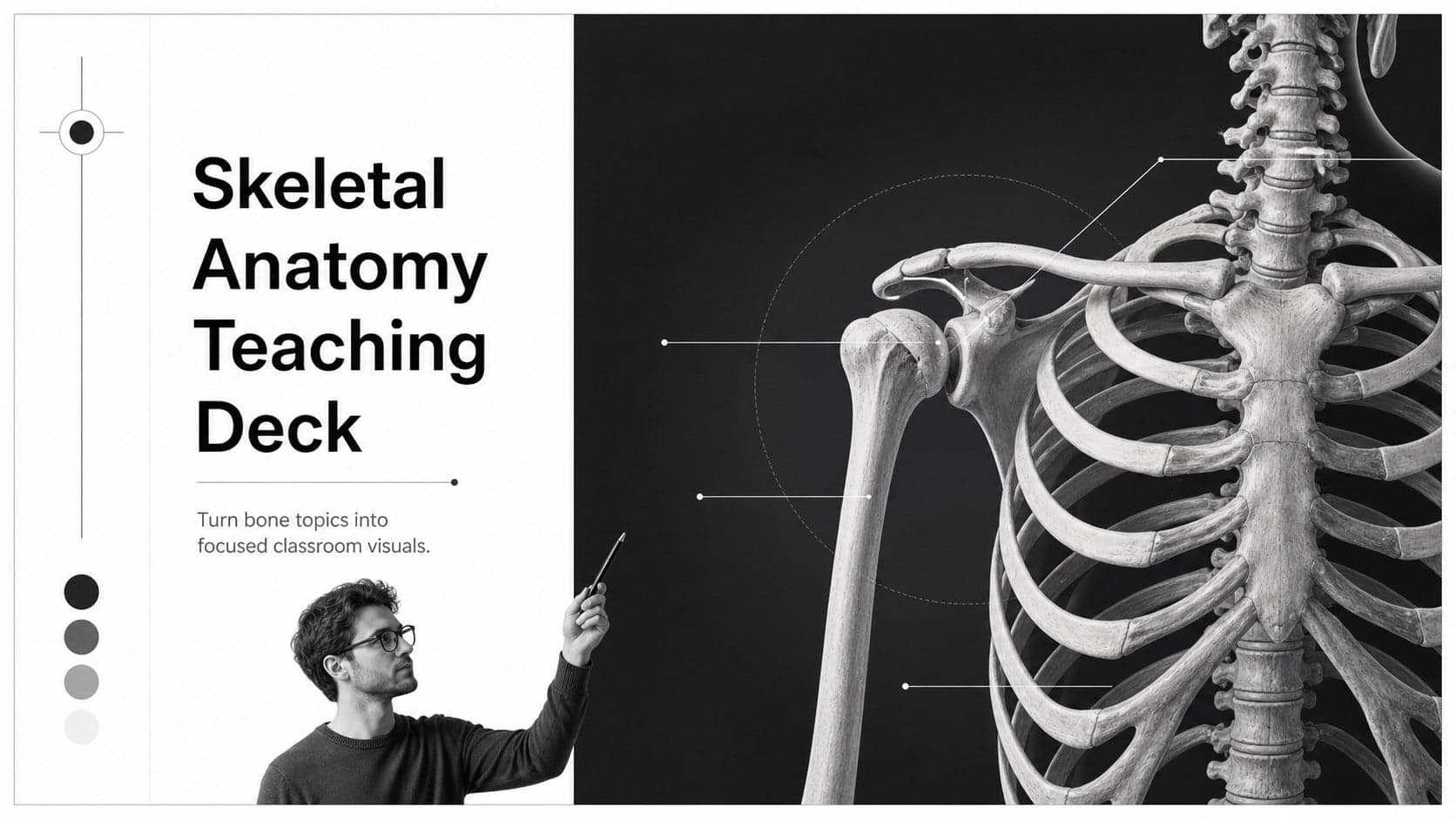 Skeletal Anatomy Teaching Deck preview