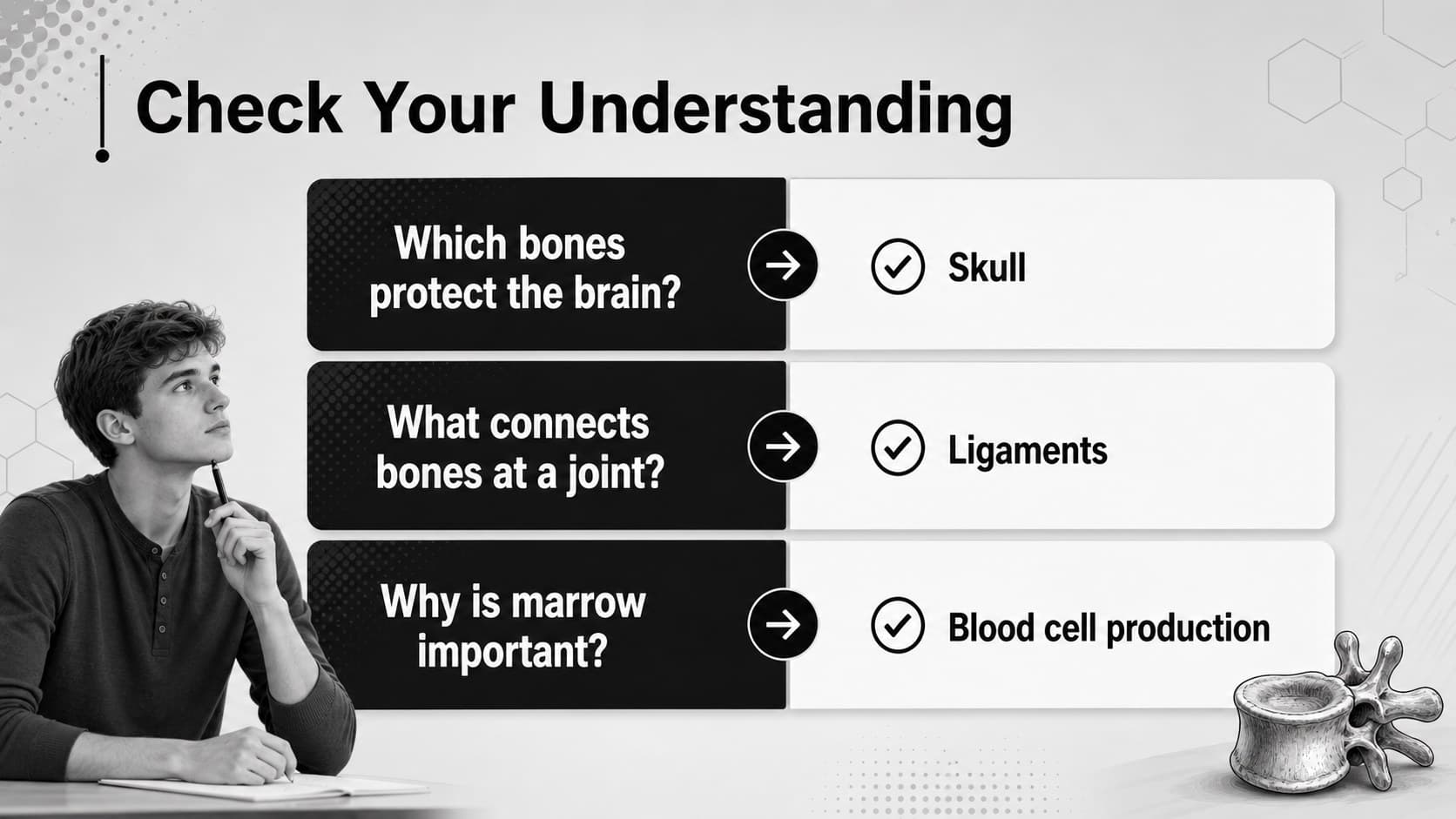 Anatomy review slide with key terms and questions for a skeletal system study guide.