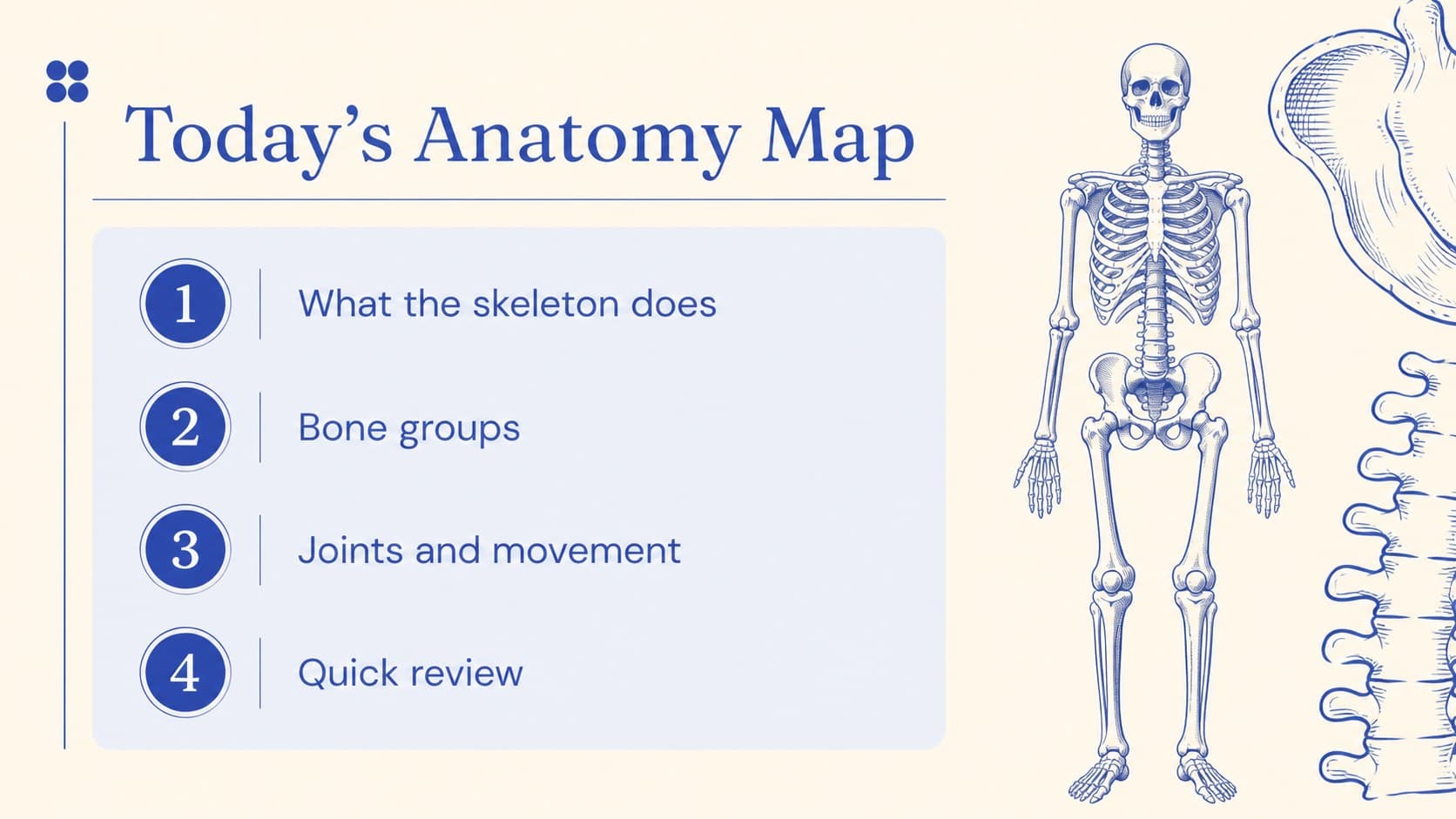 Anatomy lesson agenda slide outlining the main topics in a skeletal system presentation.