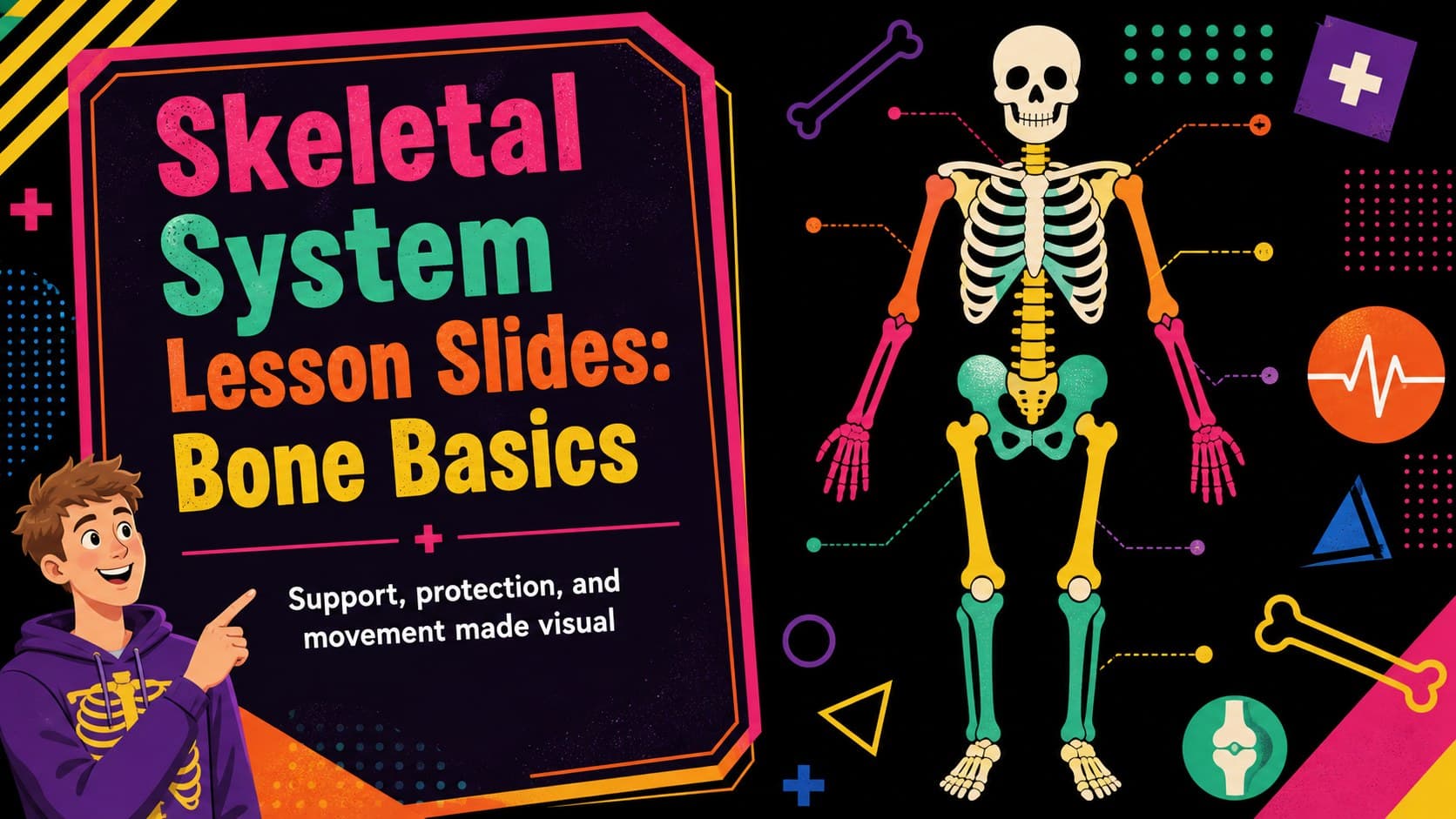 Skeletal System Lesson Slides: Bone Basics preview