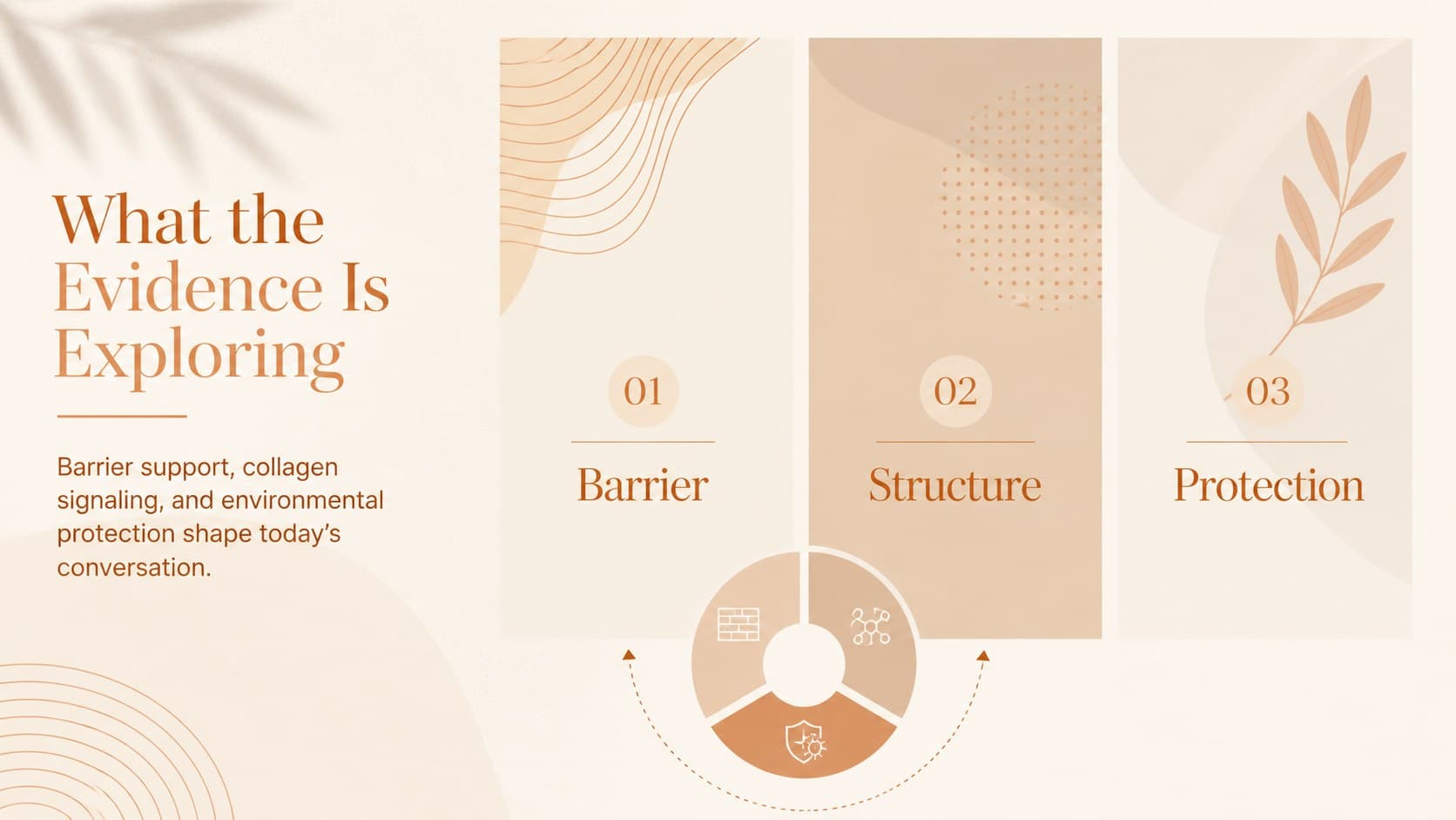 Anti-aging research presentation slide showing three evidence themes in structured orange and beige panels.