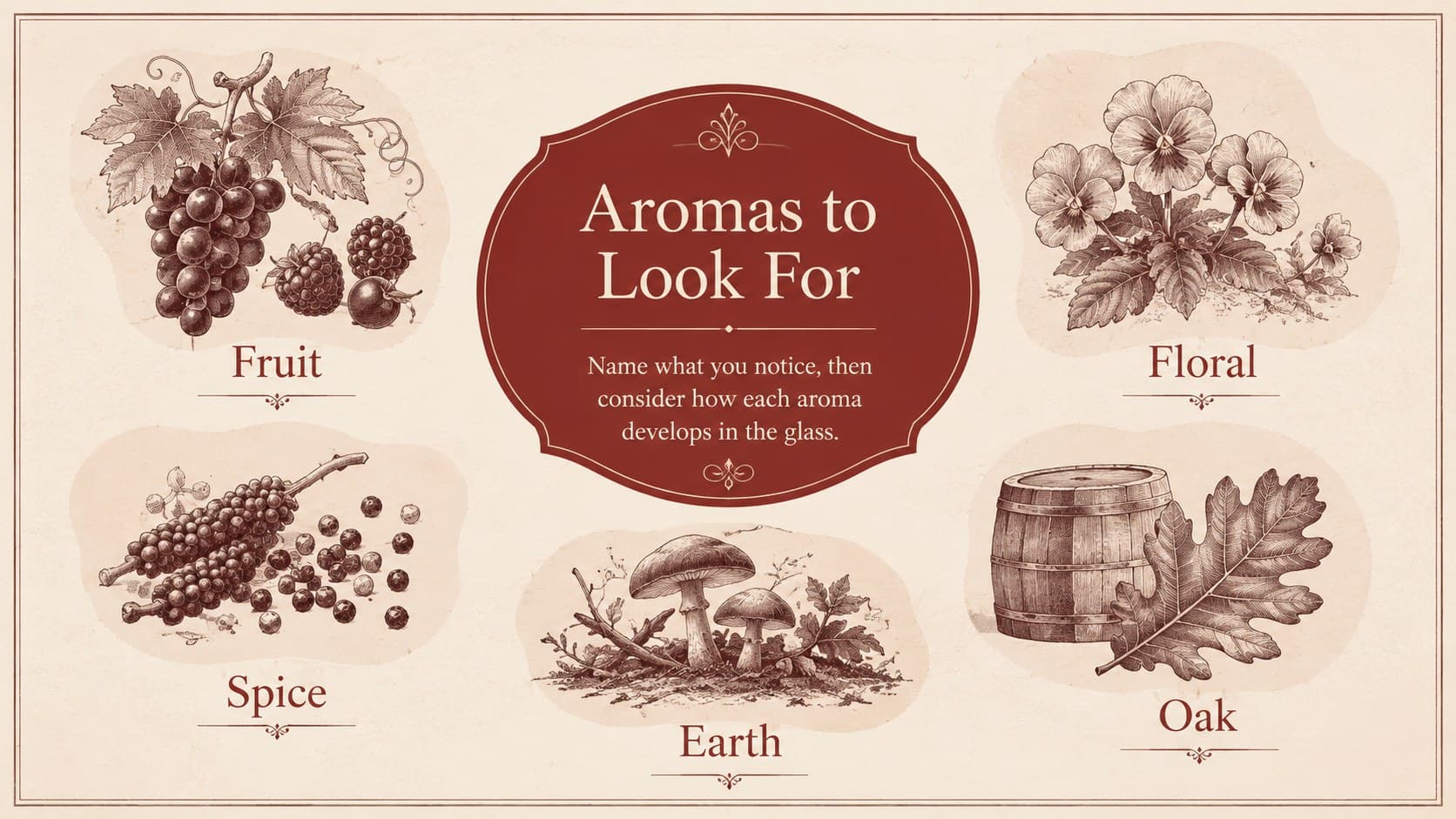 Wine aroma guide slide organizing fruit, floral, spice, earth, and oak tasting descriptors.