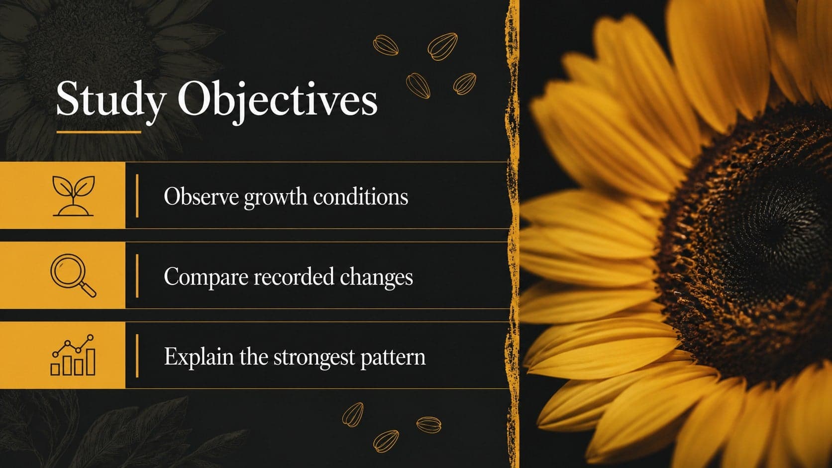Black and yellow school presentation slide showing three objectives beside sunflower photography.
