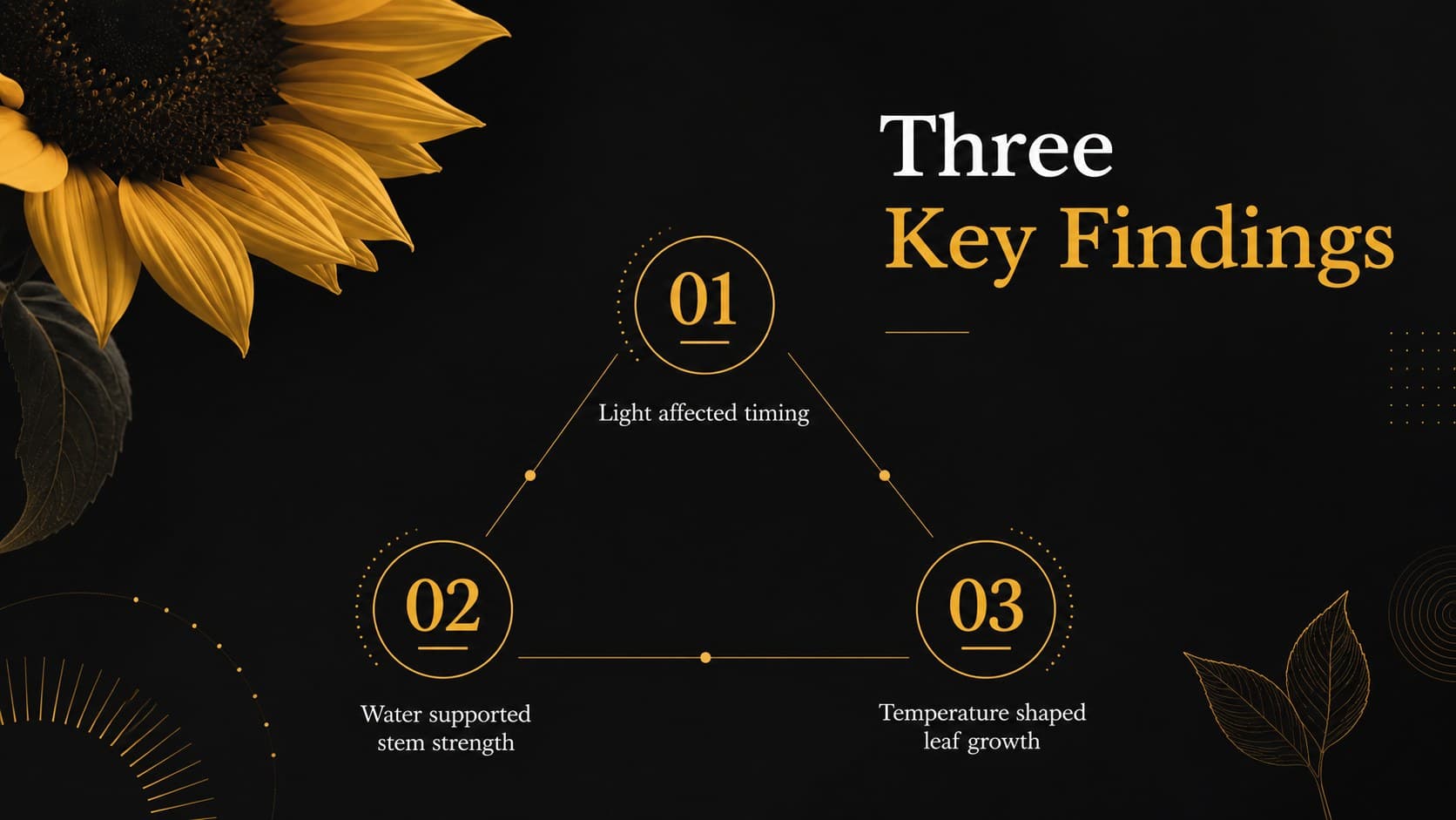 Elegant sunflower academic slide presenting three key findings in a spacious dark layout.