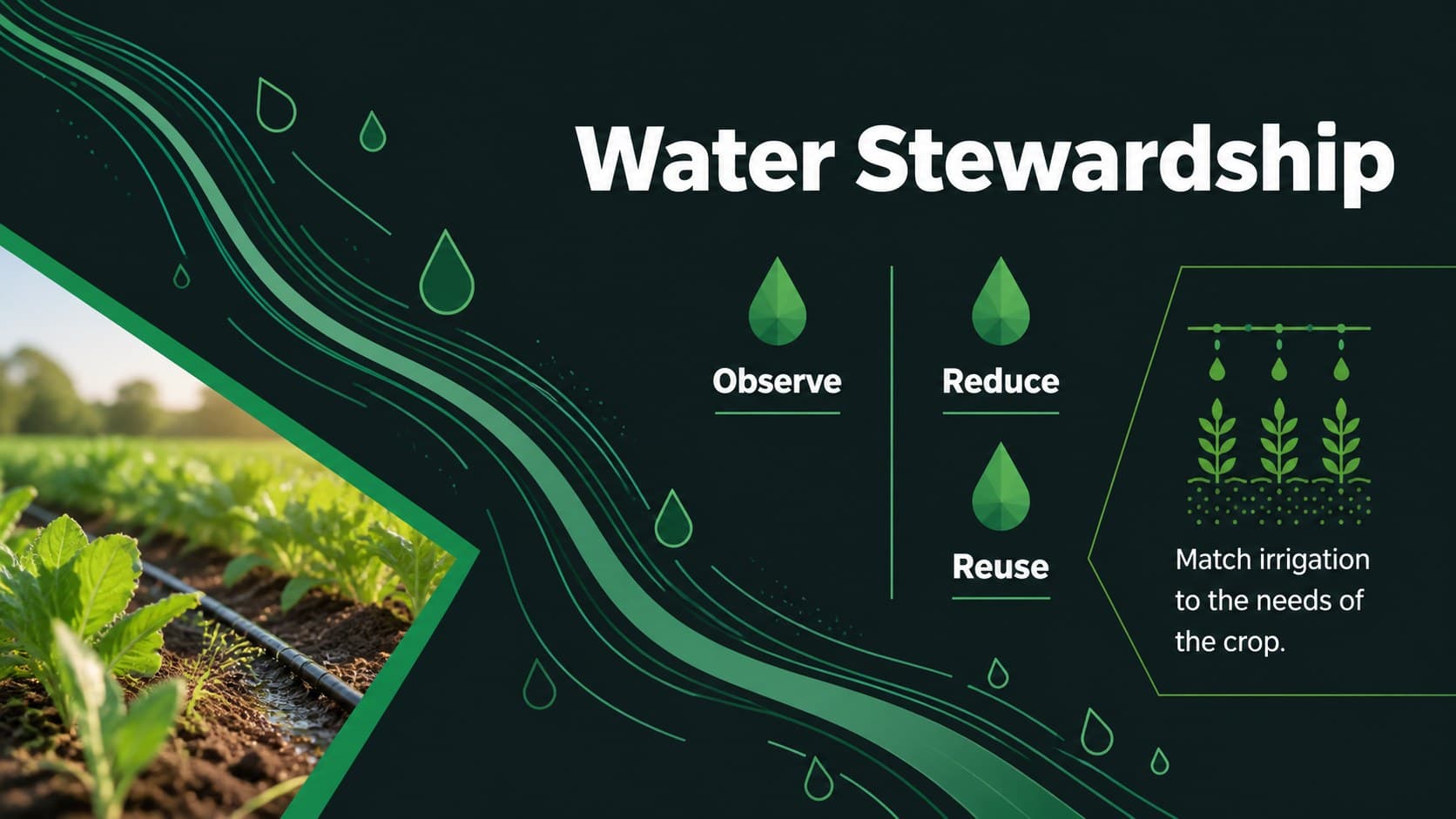 Water stewardship slide for a college agriculture sustainability presentation with an editable comparison layout.