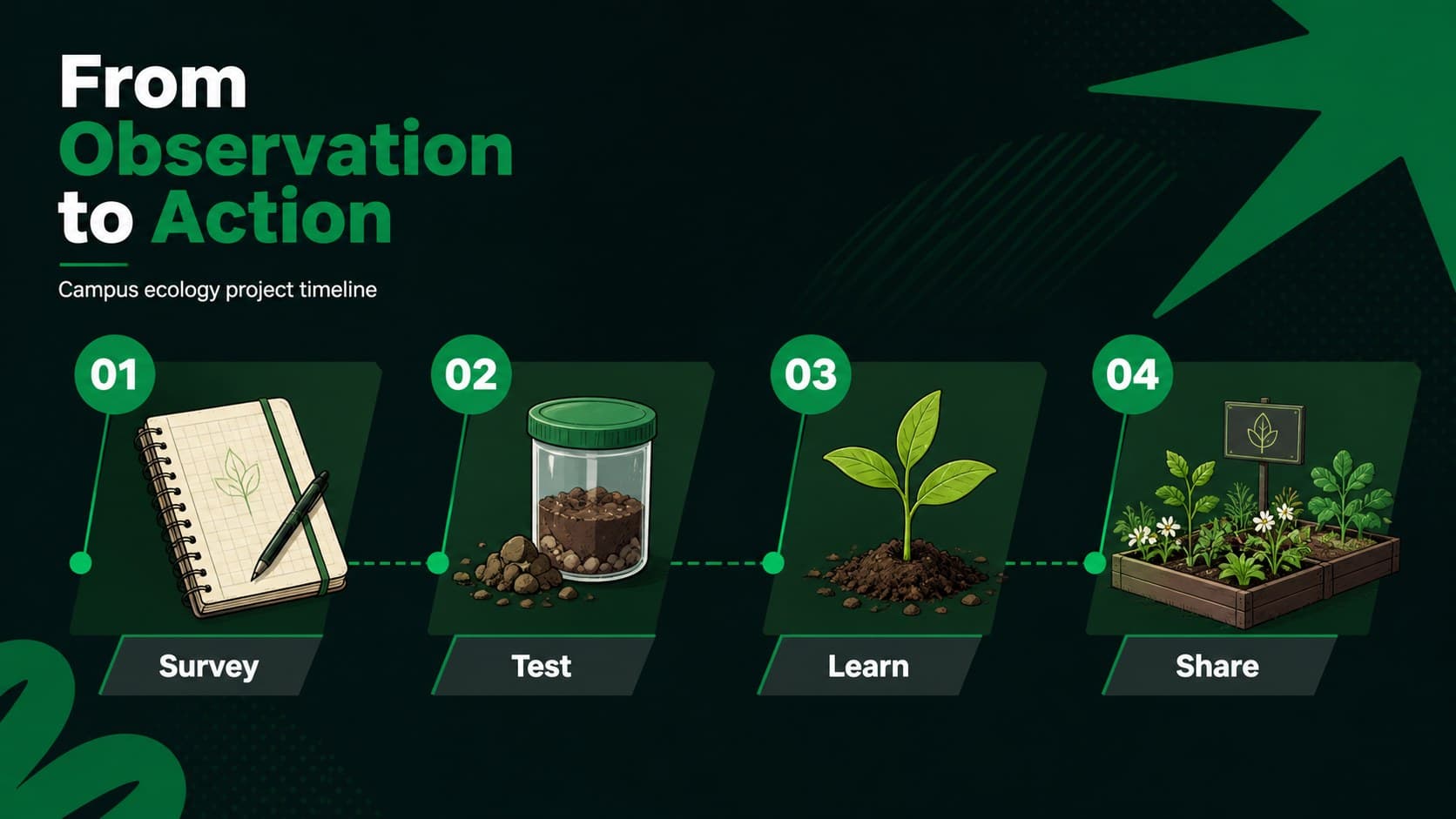 Campus ecology project timeline showing stages from observation to sustainable farming action.