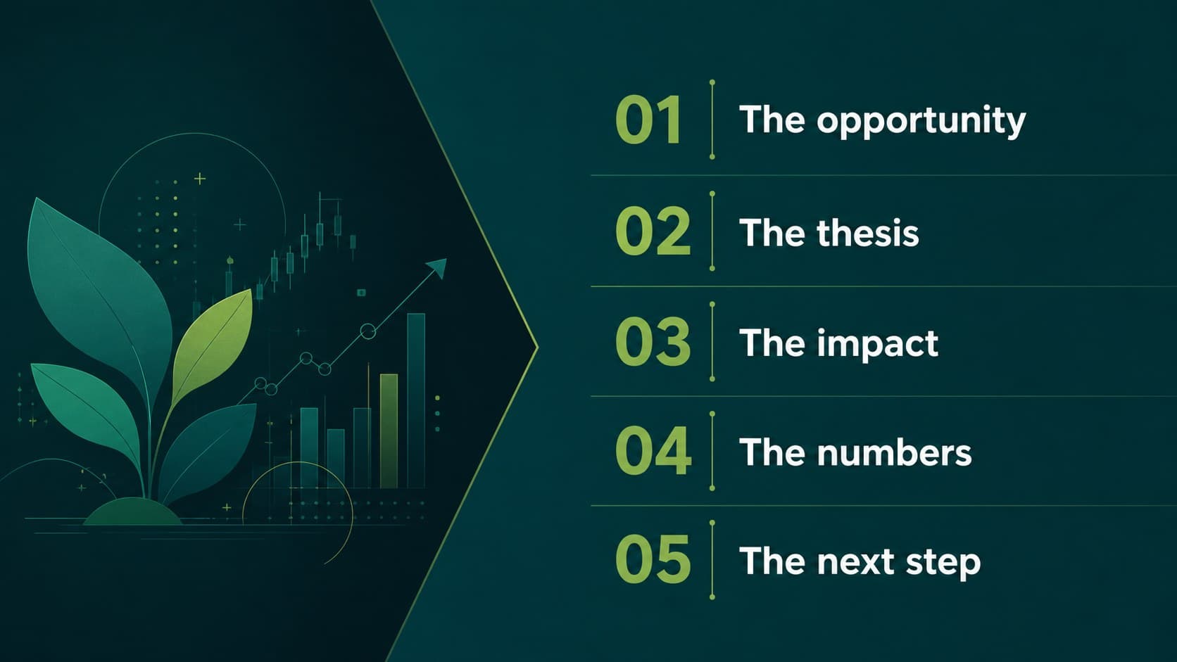 Agenda slide outlining the sections of a sustainable finance investor presentation.
