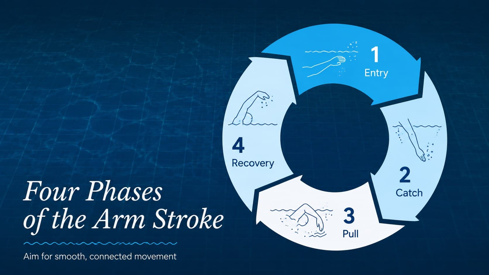 Aquatic coaching presentation slide breaking an arm stroke into entry, catch, pull, and recovery phases.