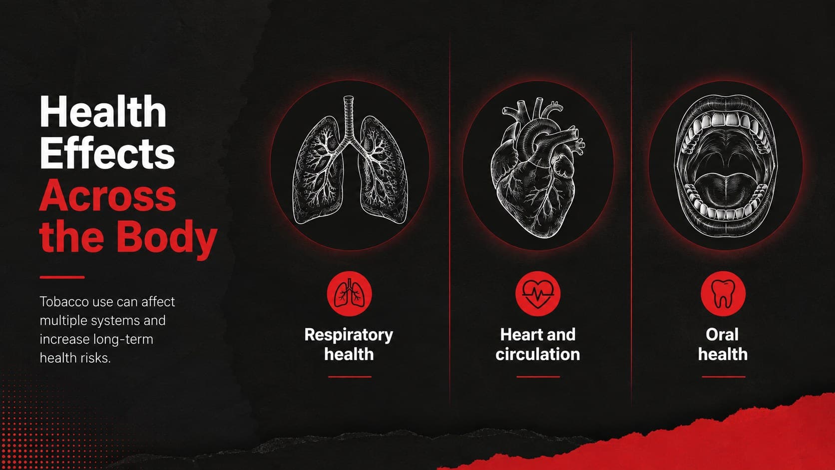 Black-and-red tobacco risks outreach slide summarizing respiratory, cardiovascular, and oral health effects.