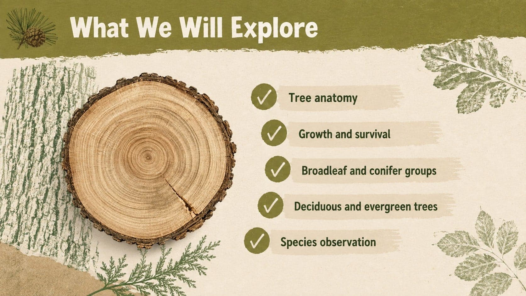 Tree anatomy lesson overview showing roots, trunk, crown, leaves, flowers, fruit, and seeds.