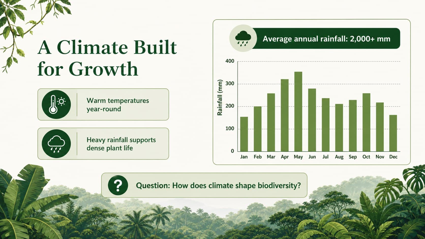 Rainforest climate slide displaying rainfall and temperature information for biology students.