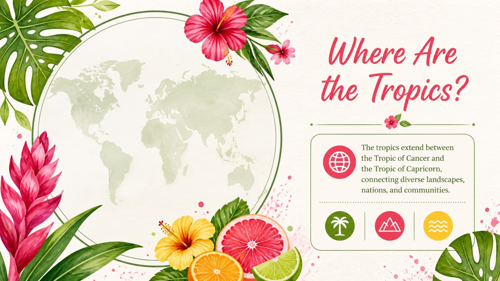 Tropical regions overview slide explaining the geographic area around the Equator.