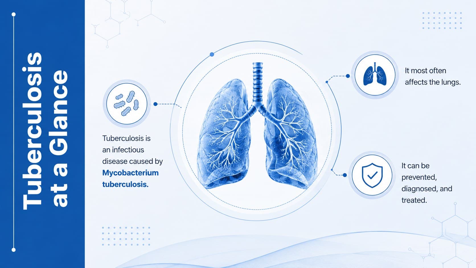 Tuberculosis overview slide summarizing the disease, its cause, and its effect on lung health.