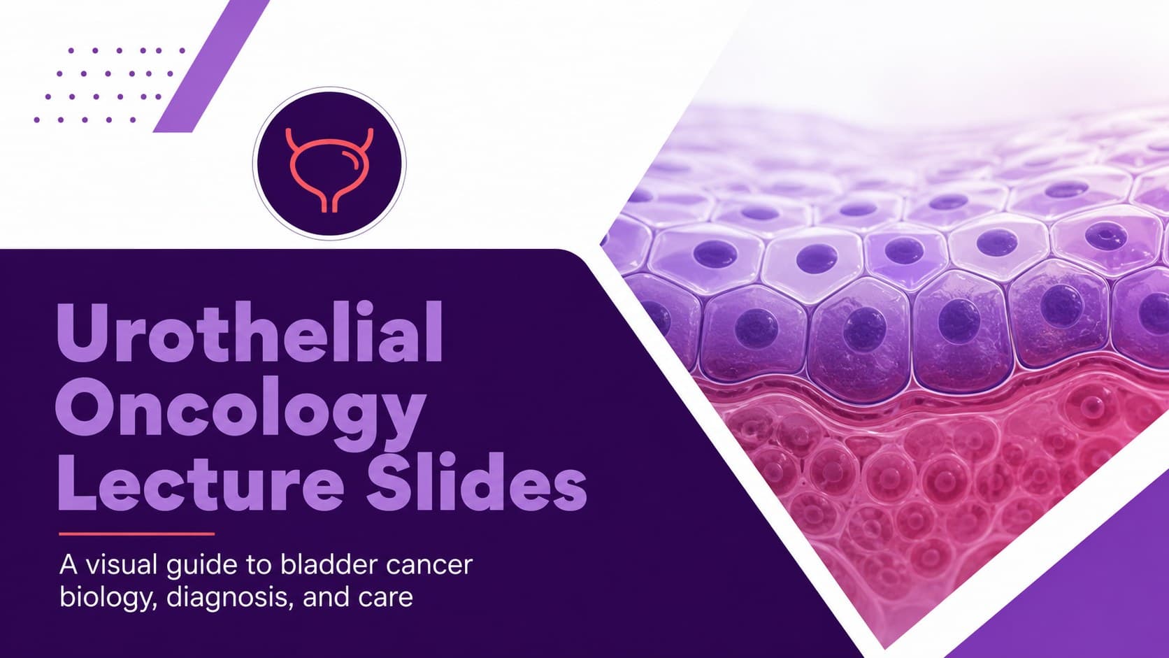 Urothelial Oncology Lecture Slides preview