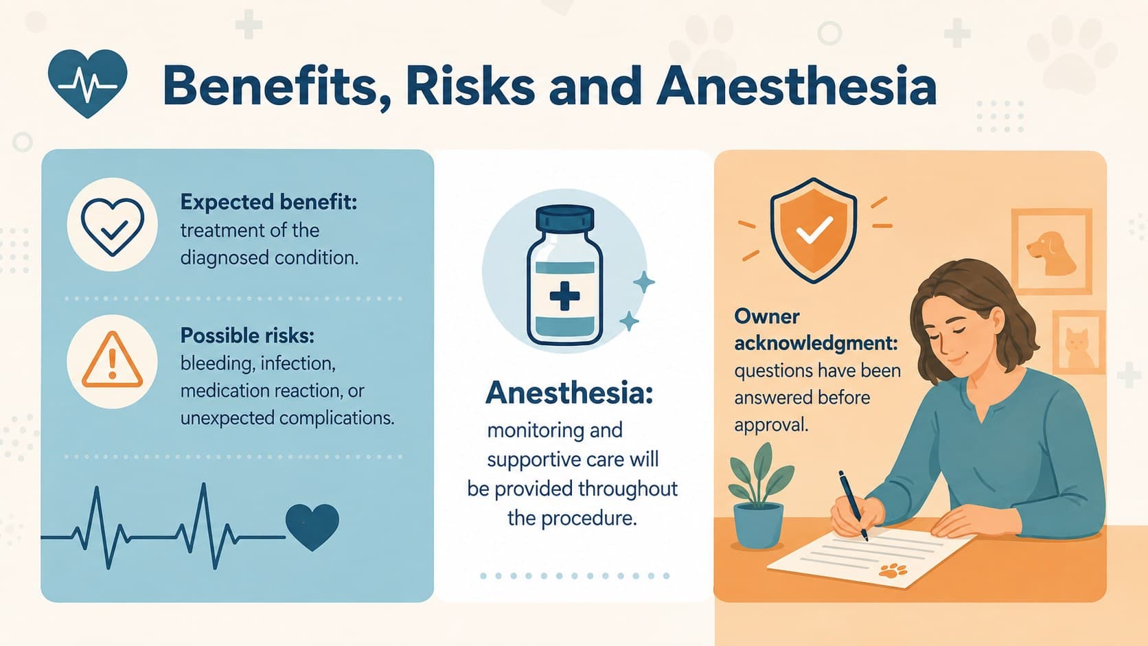 Veterinary anesthesia consent slide summarizing benefits, possible risks, and owner acknowledgment points.