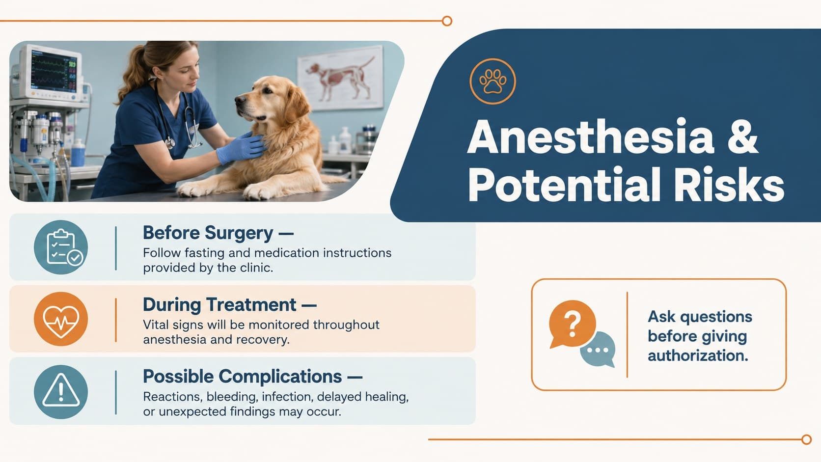 Veterinary anesthesia consent template slide outlining preparation, monitoring, and potential surgical risks.