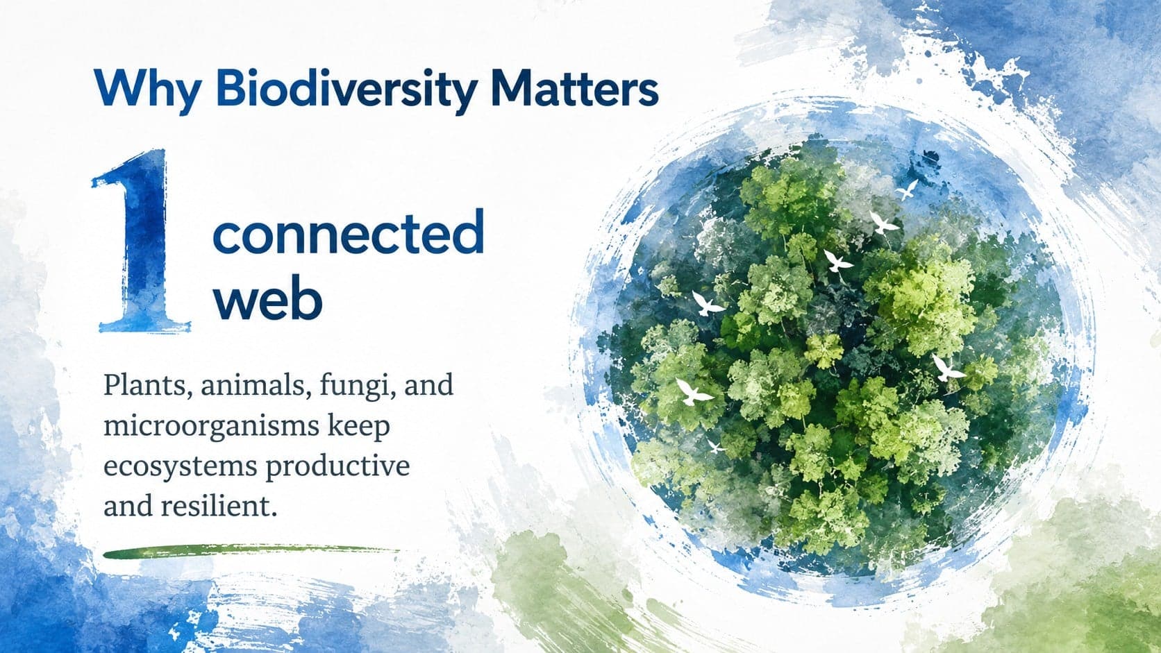 Nature conservation PowerPoint theme slide explaining the value of biodiversity with a forest illustration.