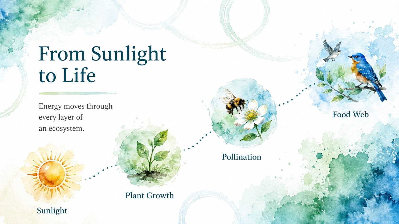 Environmental science process slide tracing energy from sunlight through plants and wildlife.
