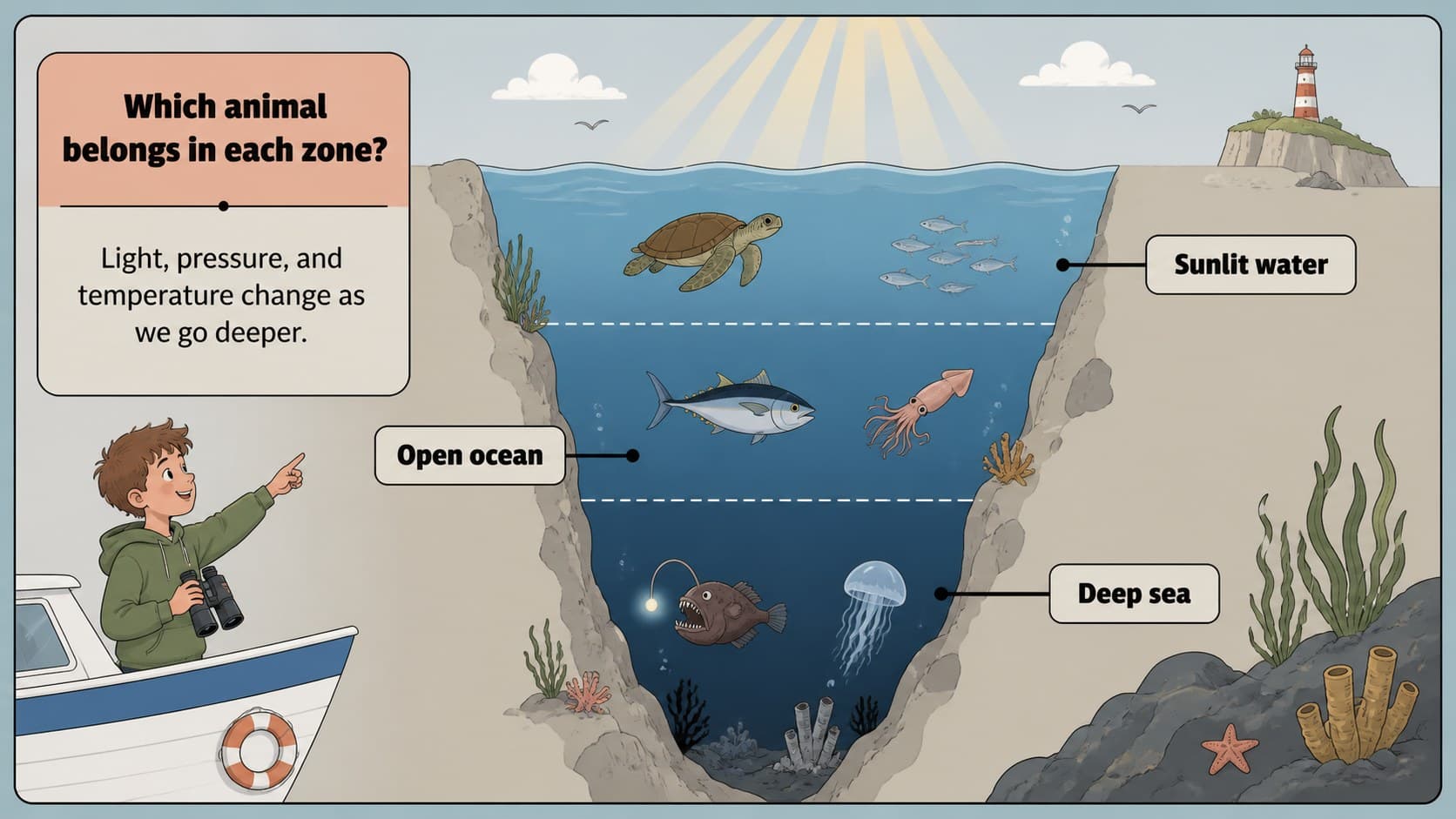 Ocean ecosystem slide showing marine zones and animals in an illustrated classroom layout.