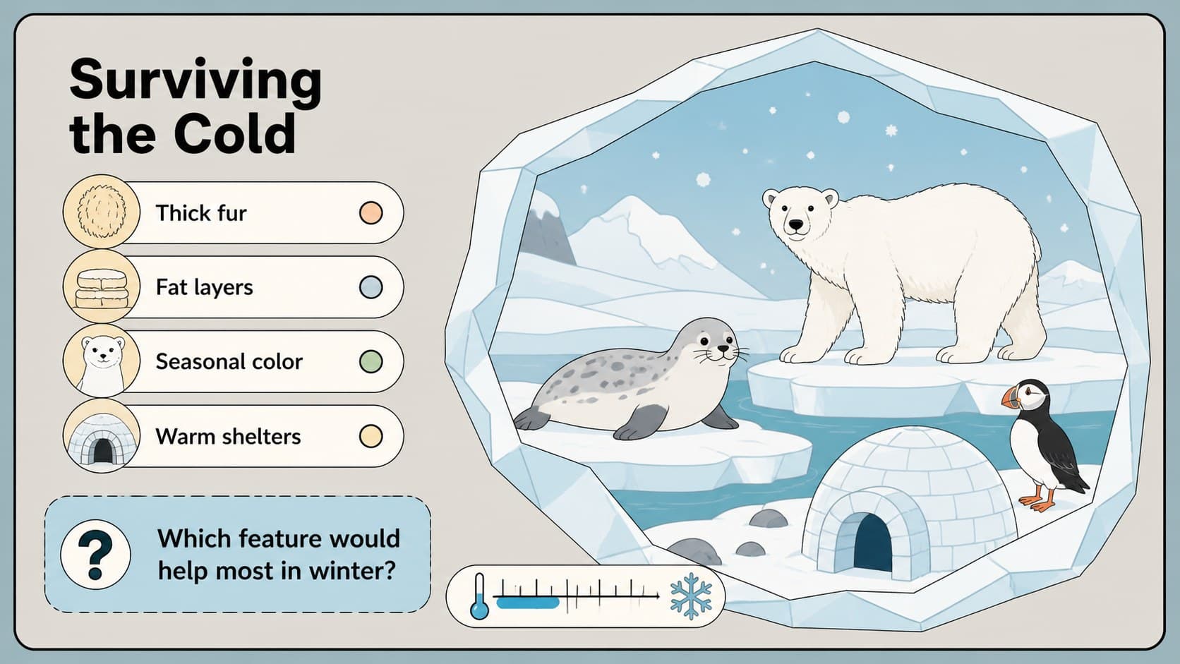 Polar habitat slide illustrating cold-weather adaptations for an animal habitat lesson.