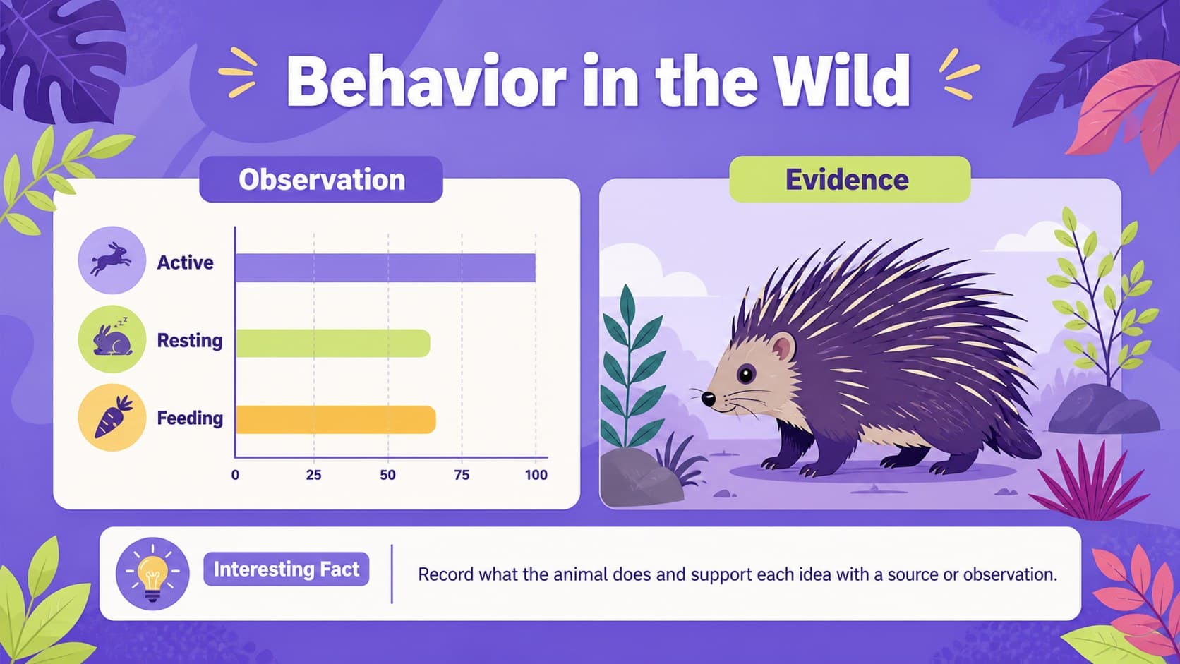 Wildlife research showcase slide with behavior facts, an observation chart, and colorful animal illustrations.